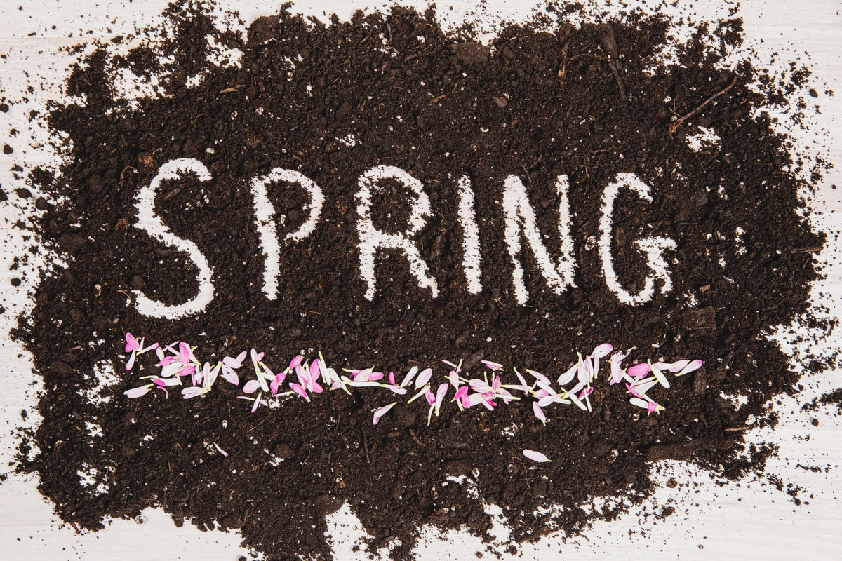 Spring Collection – White Bayou Wreaths & Supply