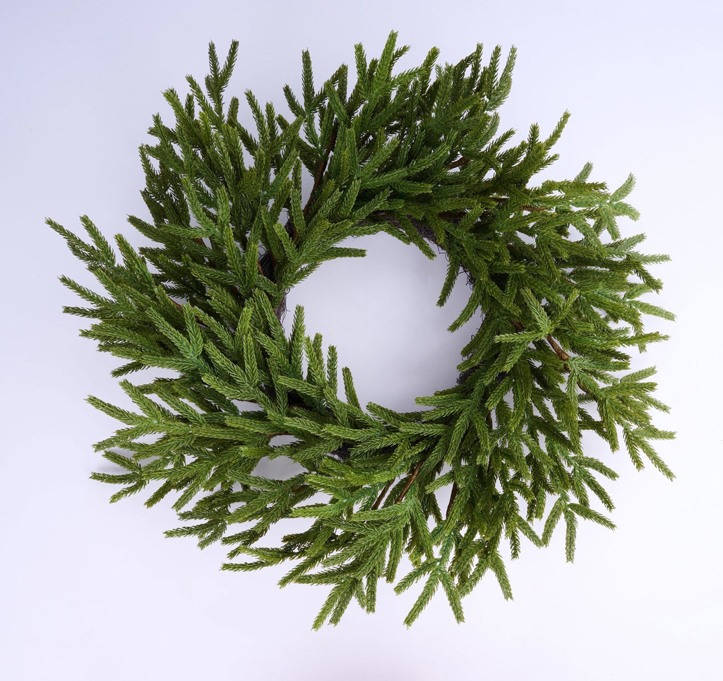 24" Norfolk Island Pine Wreath – Artificial Green Christmas Wreath - XX9414 - White Bayou Wreaths & Supply