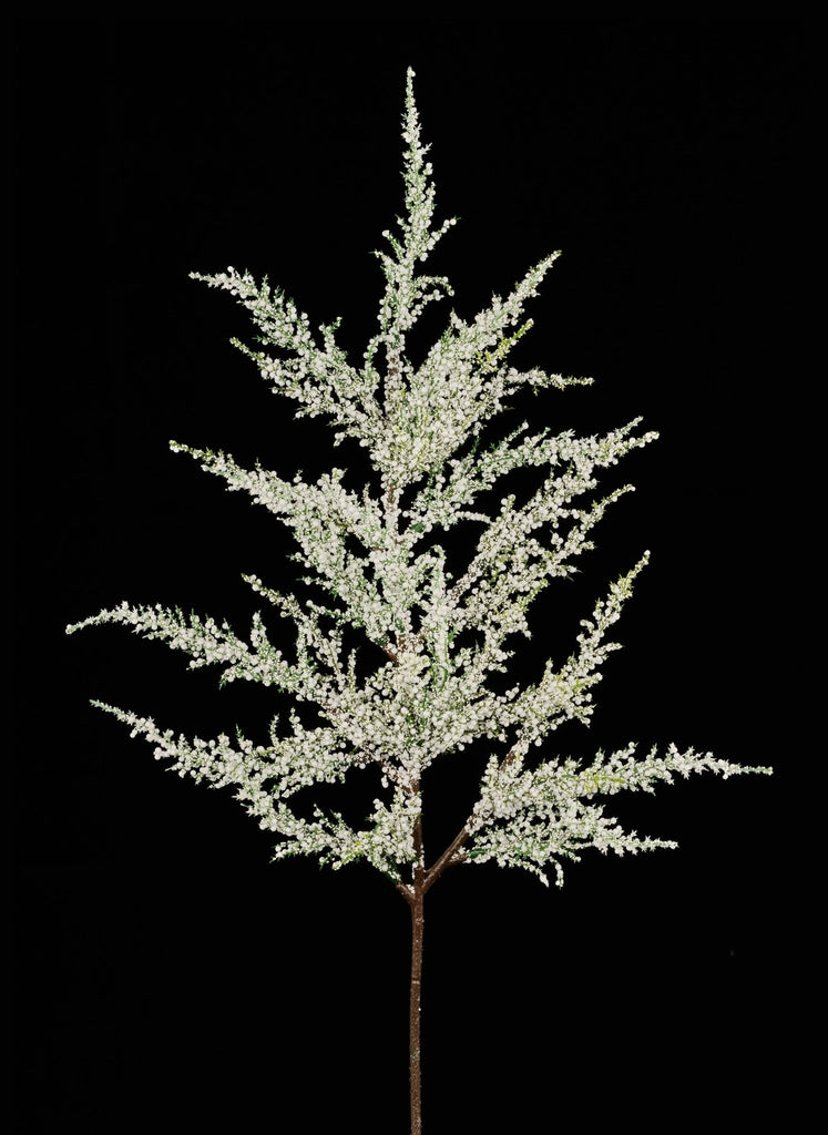 25" Glitter Arborvitae Spray – Frosted Evergreen Stem for Holiday Decorating - XS6838 - White Bayou Wreaths & Supply