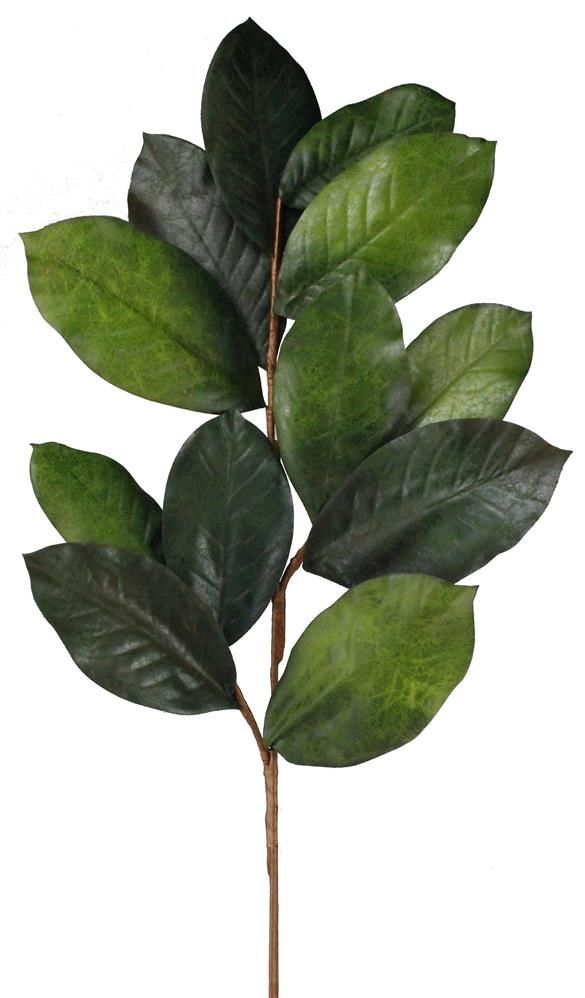 40"L Magnolia Leaf Spray | NF2005 - White Bayou Wreaths & Supply